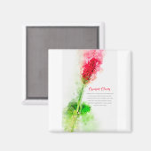 Crimson Clover Magnet (Vorderseite/Rückseite)