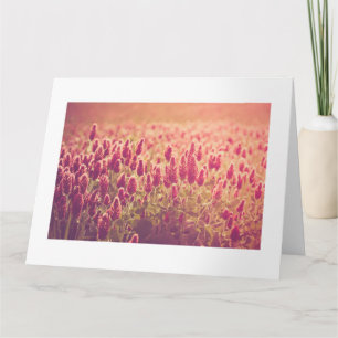 Crimson Clover Nature Blume Big Karte
