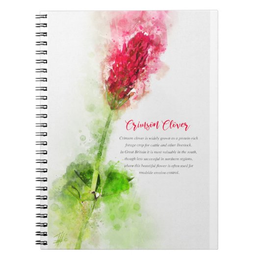 Crimson Clover Notizblock (Vorderseite)