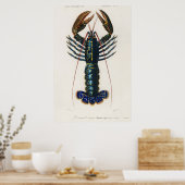 Crimson Crawfish Poster (Küche)