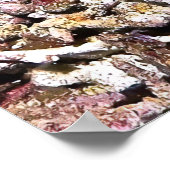 Crimson Fish Poster (Ecke)