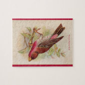 Crimson Fronted Finch Puzzle (Horizontal)