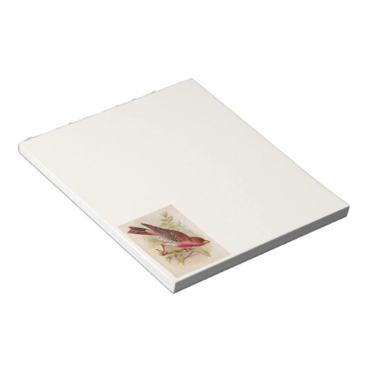 Crimson Frontsch Finch Bird Notepad Notizblock (angewinkelt)