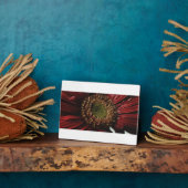 Crimson Gerbera Macro Fotoplatte (Seite)