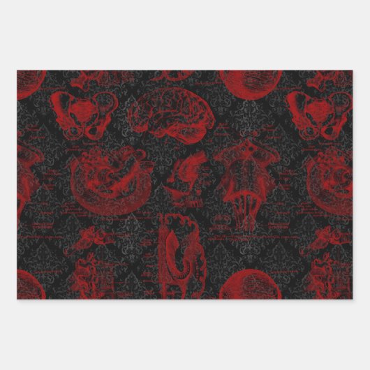 Crimson Gothic Vampyre Anatomie Geschenkpapier Set (Vorderseite 2)
