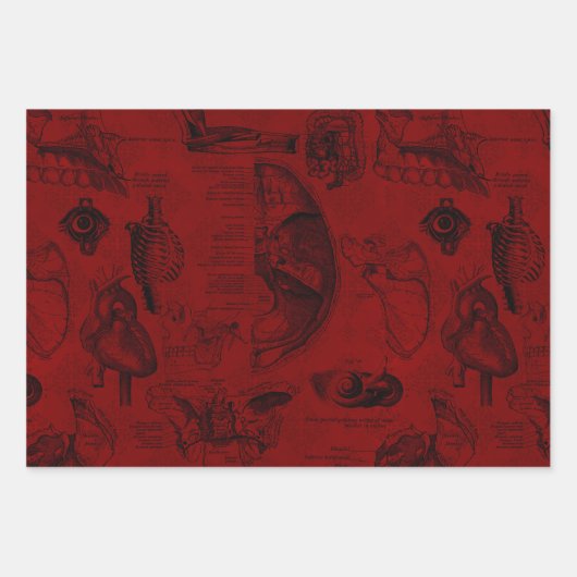 Crimson Gothic Vampyre Anatomie Geschenkpapier Set (Vorderseite)