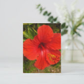Crimson Hibiskus Glow Postkarte (Stehend Vorderseite)