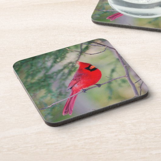 Crimson Kardinal Getränkeuntersetzer (Linke Seite)