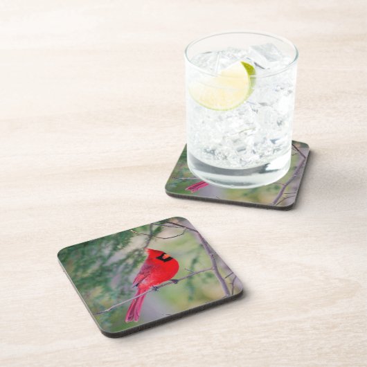 Crimson Kardinal Getränkeuntersetzer (Rechte Seite)
