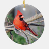 Crimson Kardinal Wappen Premium Ornament (Hinten)
