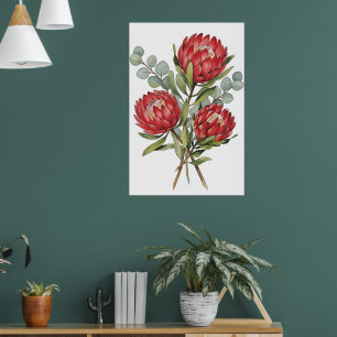 Crimson Protea Bouquet Aquarell Poster