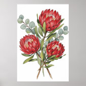 Crimson Protea Bouquet Watercolor Poster (Vorne)