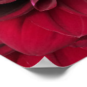 Crimson Red Dahlia Art - Arabian Night Blume Poster (Ecke)