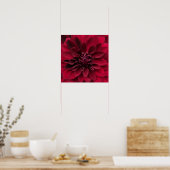 Crimson Red Dahlia Art - Arabian Night Blume Poster (Küche)