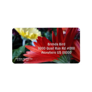 Crimson red Gerbera Daisy Blume nah-up Foto Adressaufkleber