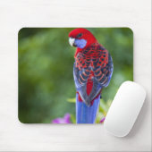 Crimson Rosella & Hintergrund der Orchideen Laming Mousepad (Mit Mouse)