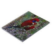 Crimson Rosella Notizblock (Linke Seite)