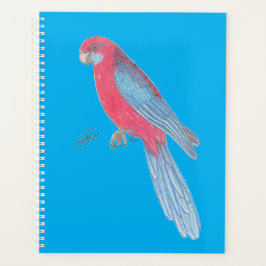CRIMSON ROSELLA PLANER