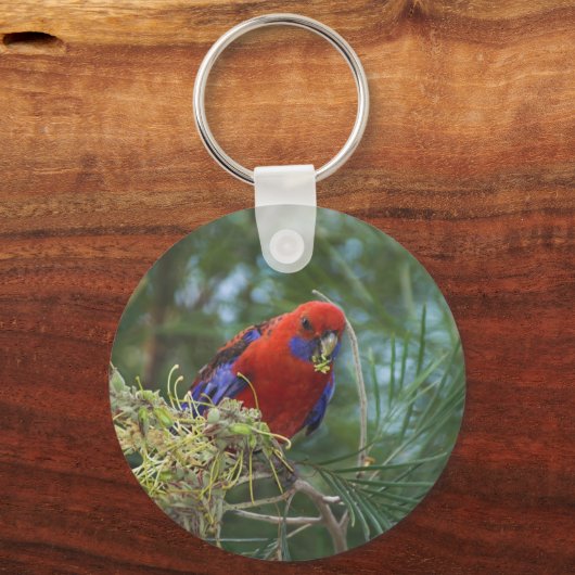 Crimson Rosella Schlüsselanhänger (Vorderseite)