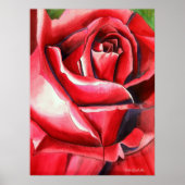 Crimson Rote Rose Original Aquarellmalerei Poster (Vorne)