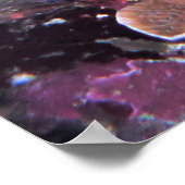 Crimson Scorpionfish Poster (Ecke)