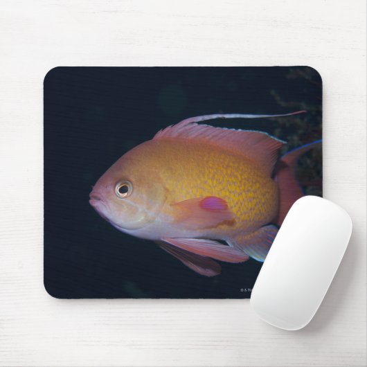 Crimson Seabream Mousepad (Mit Mouse)