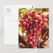 Crimson Seedless Trauben Postkarte (Vorne/Hinten)