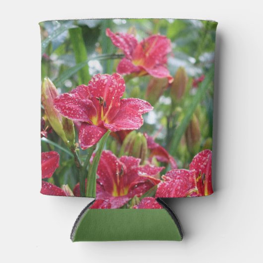 Crimson Shadows Red Taglilien Dosenkühler (Vorderseite)