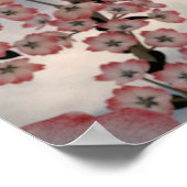 Crimson Snow Blossom Poster (Ecke)