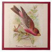Crimson Throated Finch Bird Keramik Tile Fliese (Vorderseite)