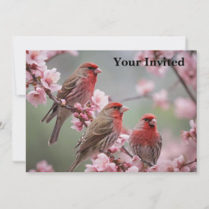 "Crimson Trio: Rote Finches inmitten rosa Blüten" Einladung