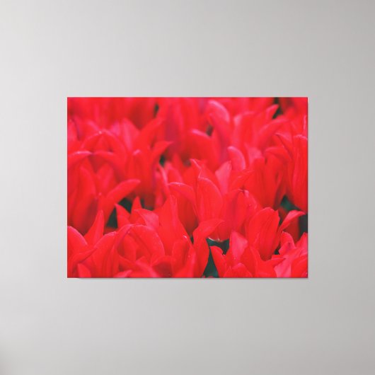 Crimson Waves Leinwanddruck (Vorderseite)