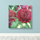 Crimson Wild Blume Canvas Print Leinwanddruck (Insitu (Holzboden))