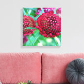 Crimson Wild Blume Leinwanddruck (Insitu (Wohnzimmer))
