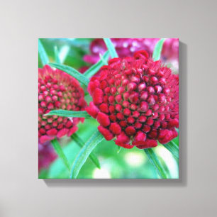 Crimson Wild Blume Leinwanddruck