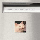 Cringe-Katzen-Meme Magnet (In Situ (Geschirrspüler))