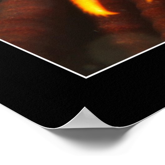 Crinoid Hummer Poster (Ecke)