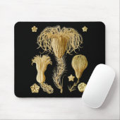 Crinoids Mousepad (Mit Mouse)