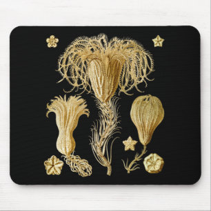 Crinoids Mousepad