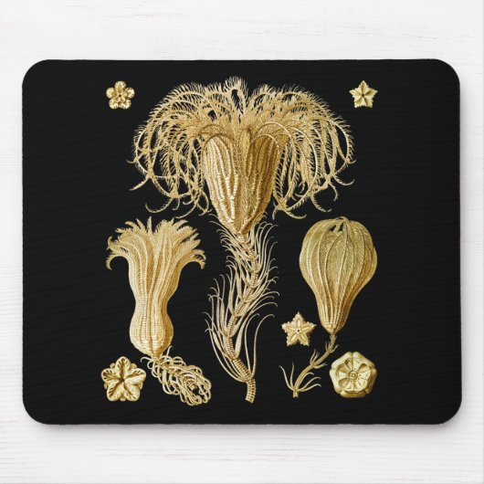 Crinoids Mousepad (Vorne)