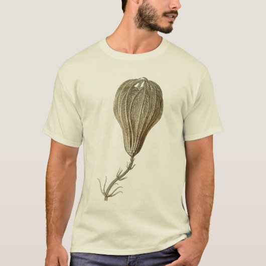 Crinoids T-Shirt (Vorderseite)