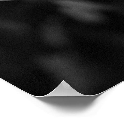 Crinum Black & White Poster (Ecke)