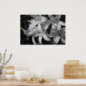 Crinum Black & White Poster (Küche)