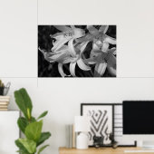 Crinum Black & White Poster (Heimbüro)