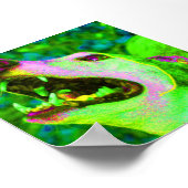 Crisco Poster (Ecke)