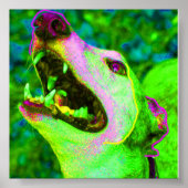 Crisco Poster (Vorne)