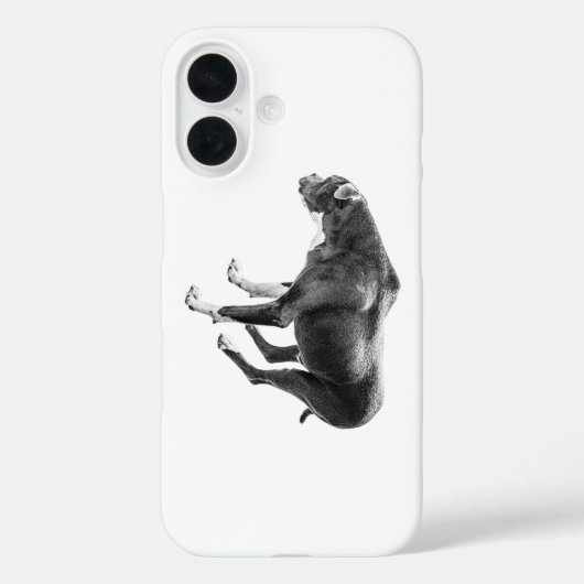Crisp-Air-Companion Case-Mate iPhone Hülle (Rückseite)