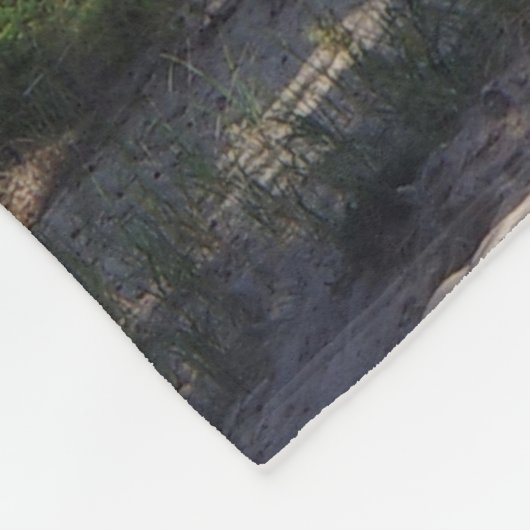 Crisp Point Lighthouse Decke (Ecke)