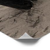 Crisp Point Lighthouse Poster (Ecke)