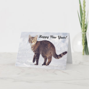 Crisp Snow Cat Happy New Year Card Feiertagskarte